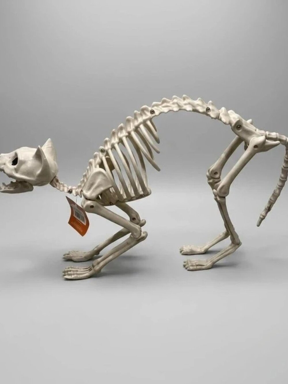 Spooky Halloween Cat Skeleton Adjustable Decoration Prop